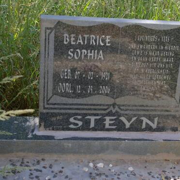 Free State, JACOBSDAL district, Esperanza 261, farm cemetery