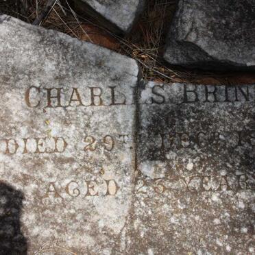 BRINK Charles -1884