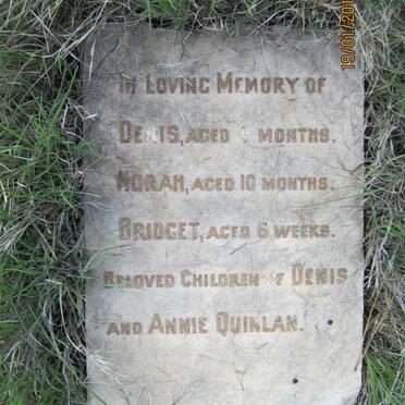QUINLAN Denis :: QUINLAN Norah :: QUINLAN Bridget