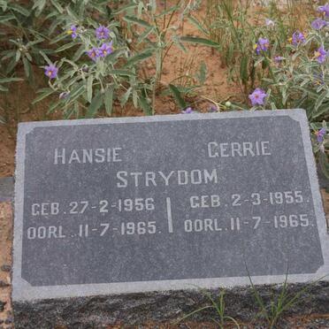 STRYDOM Gerrie 1955-1965 :: STRYDOM Hansie 1956-1965