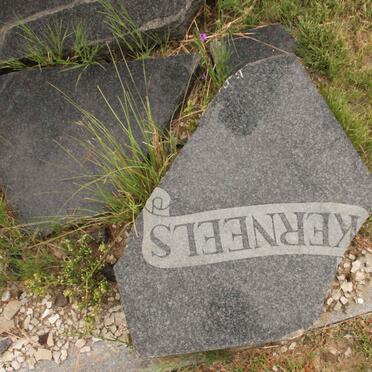 ? Kerneels