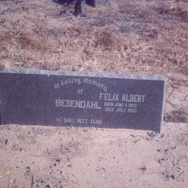 BIESENDAHL Felix Albert 1870-1933