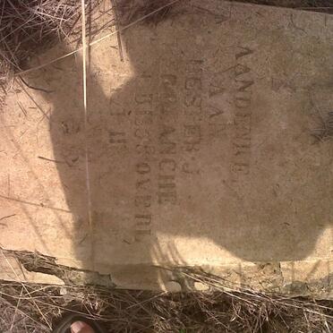 TERBLANCHE Hester J.