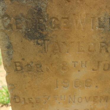 TAYLOR George William 1906-1906 