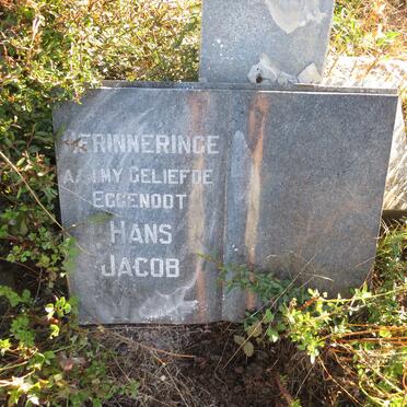 ? Hans Jacob