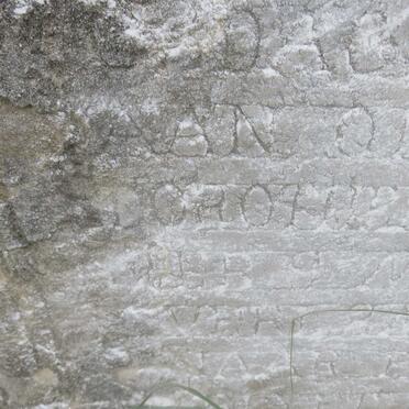 ? Dorothea 1900-1916