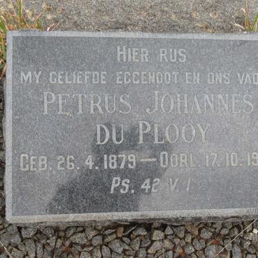 PLOOY Petrus Johannes, du 1879-1955