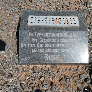 ? Susie