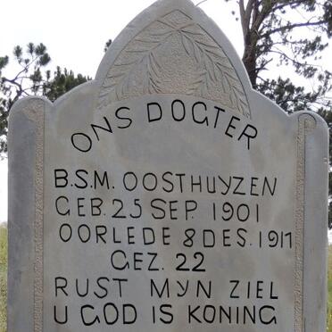 OOSTHUYZEN B.S.M. 1901-1917