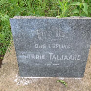 TALJAARD Corrie