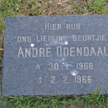 ODENDAAL André 1966-1966