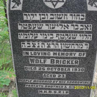 BRICKER Wolf -1930