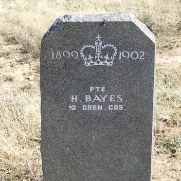 BAYES H.