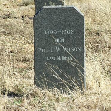WILSON J.W.