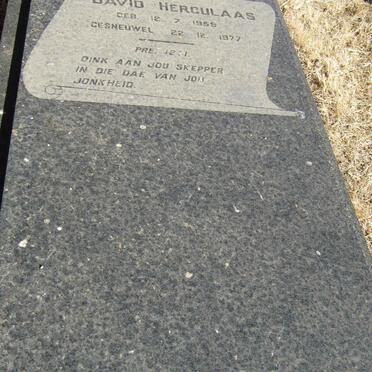 WILTERS David Herculaas 1959-1977