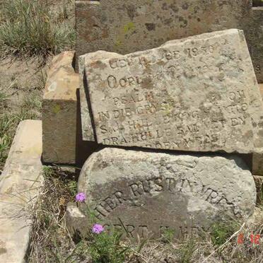 MEYER Gert H. 1856-