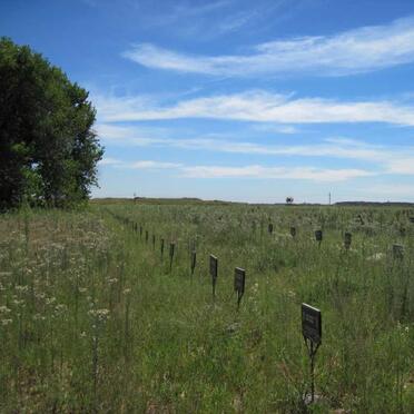 Free State, VILJOENSDRIF, Relocated graves _1