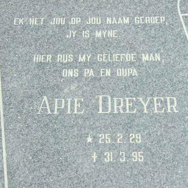 DREYER Apie 1929-1995