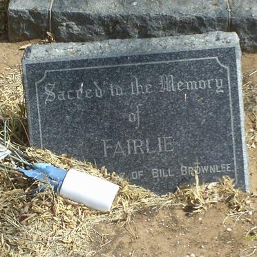 BROWNLEE Fairlie