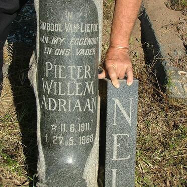 NEL Pieter Willem Adriaan 1911-1968