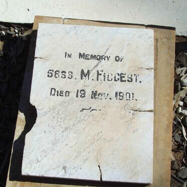 FIGGEST M. -1901