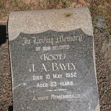 BAYLY J.A. -1952