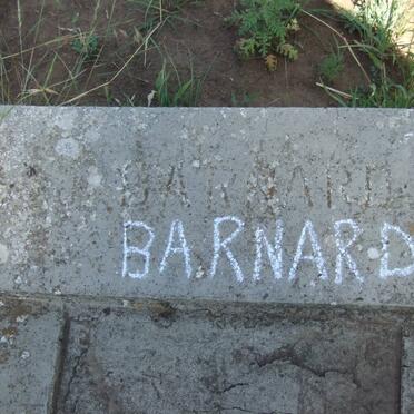 BARNARD J. 