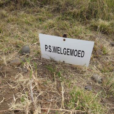 WELGEMOED P.S.