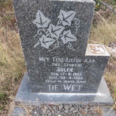 WET Dolfie, de 1953-1956 