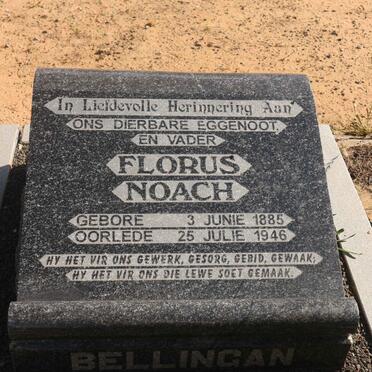 BELLINGAN Florus Noach 1885-1946