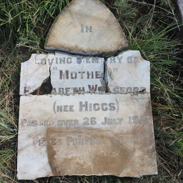 HIGGS Harry Neville 1849-1921 &amp; Maria M. 19?3 :: WELSFORD Elizabeth nee HIGGS -1921