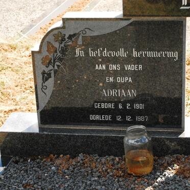 BADENHORST Adriaan 1901-1987
