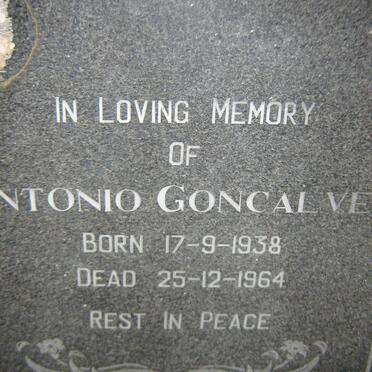 GONCALVE ?ntonio 1938-1964