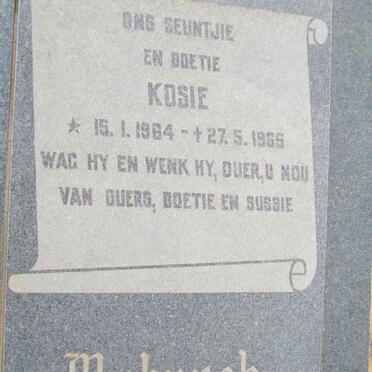 MYBURGH Kosie 1964-1965