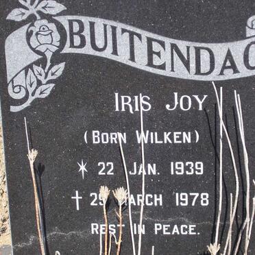BUITENDAG Iris Joy nee WILKIN 1939-1978