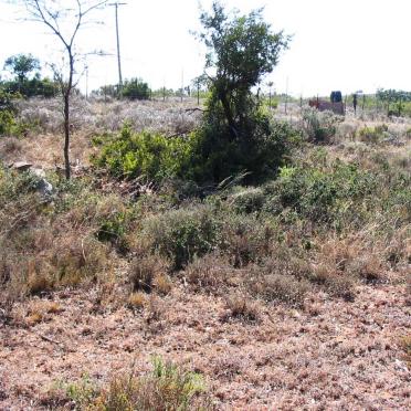 1. Overview
