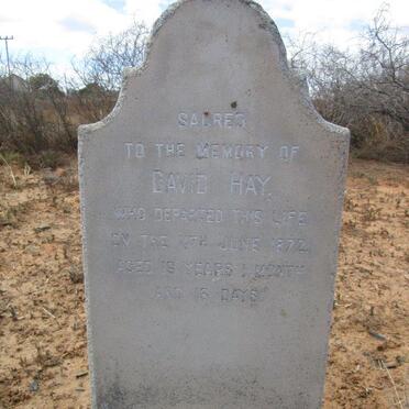 HAY David -1872