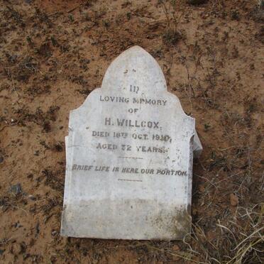 WILLCOX H. -1910