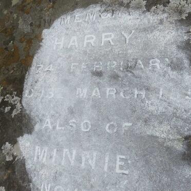 IMPEY Harry -1852 :: IMPEY Minnie -1862