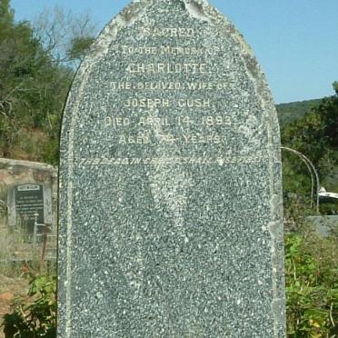 GUSH Charlotte -1893