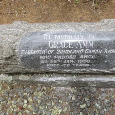AMM Grace -1858