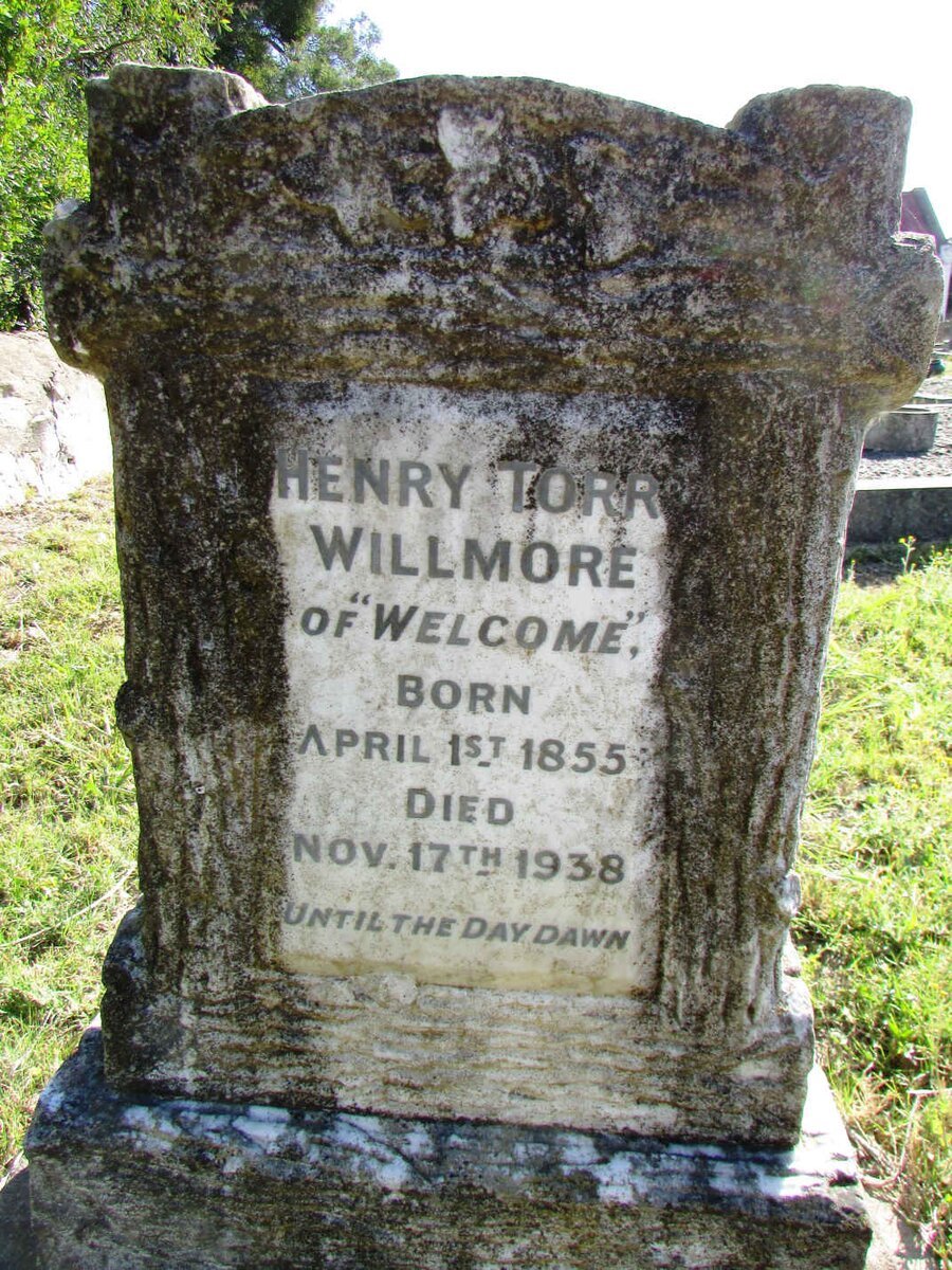 WILLMORE Henry Torr 1855-1938