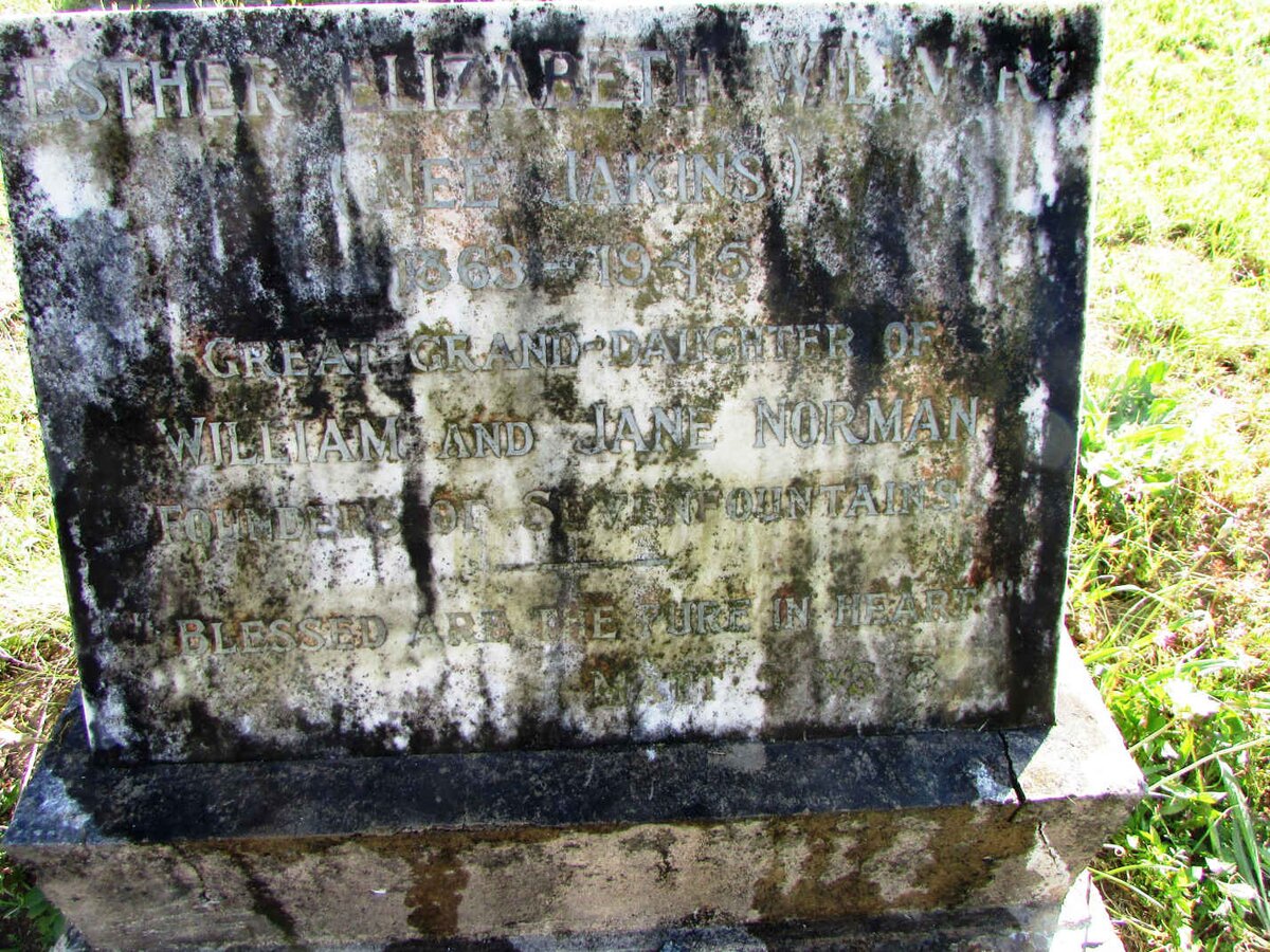 WILLMORE Esther Elizabeth nee JAKINS 1863-1945