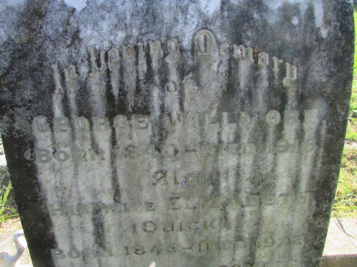 WILLMORE George 1840-1916