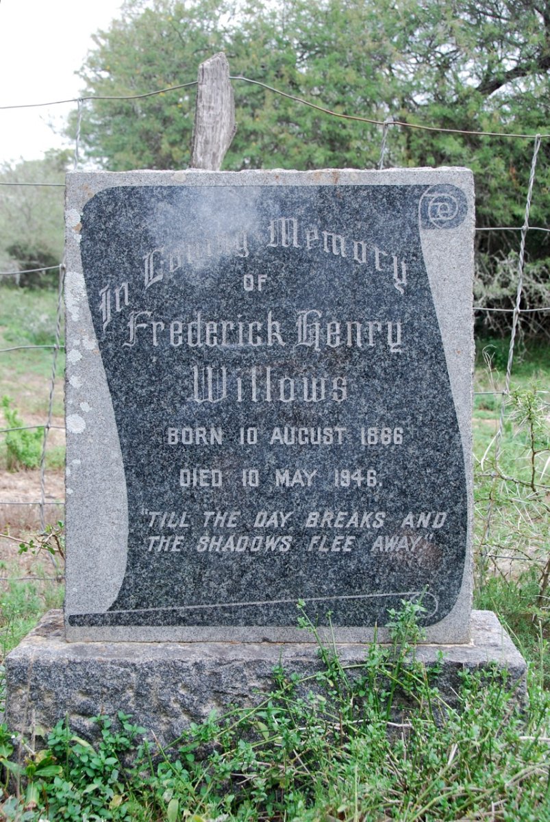 WILLOWS Frederick Henry 1866-1946