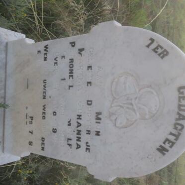 MOLLER Martha Johanna Petronella 1910-1922