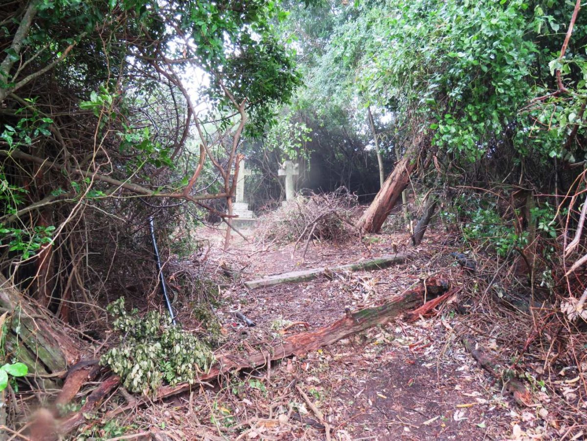 1. Overview