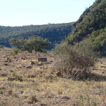 1. Overview