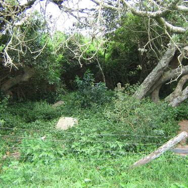 Eastern Cape, ALEXANDRIA district, Lange Hoop 227, Whitney, farm cemetery