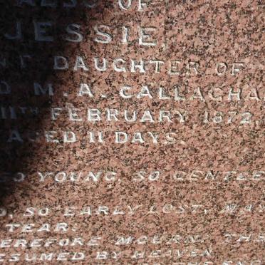 CALLAGHAN John William -1885 & Janet GLEN -1870 :: CALLAGHAN Archibald McIntyre -1863 :: CALLAGHAN Jessie -1872